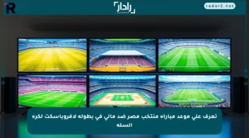 تعرف على موعد مباراة منتخب مصر ضد مالي في بطولة لافروباسكت لكرة السلة